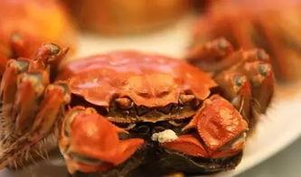 会飞的螃蟹爆料视频大全,揭秘神秘生物的空中舞步  第1张